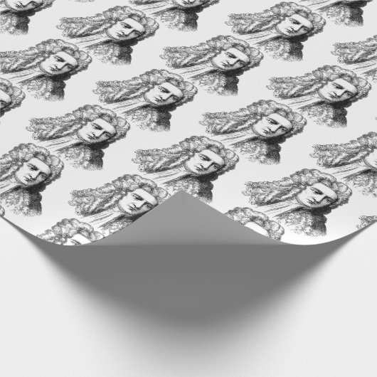 Sir Isaac Newton Famous Scientist wiskunde physics Cadeaupapier (Hoek)