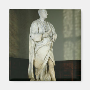 Sir Isaac Newton Magneet