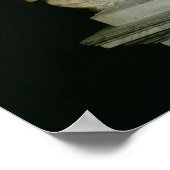 Sir Isaac Newton Poster (Hoek)