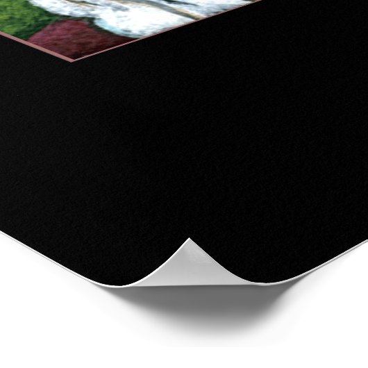 Sir Isaac Newton Poster (Hoek)