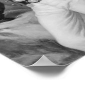 Sir James Brooke Rajah van Sarawak, 1847 Poster (Hoek)