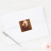 Sir John Frederick William Herschel (1792-1871) 18 Vierkante Sticker (Envelop)