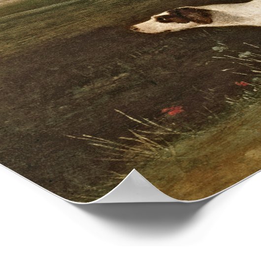 Sir John Nelthorpe Poster (Hoek)