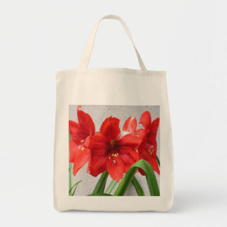 Sir Jon's 4 Red Lions Amaryllis Grocery Canvas tas