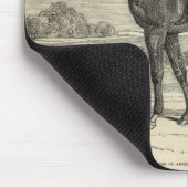 Sir Tatton Sykes', winnaar van de St. Leger Muismat (Hoek)