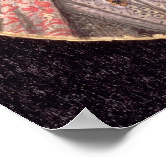 Sir Walter Raleigh Poster (Hoek)