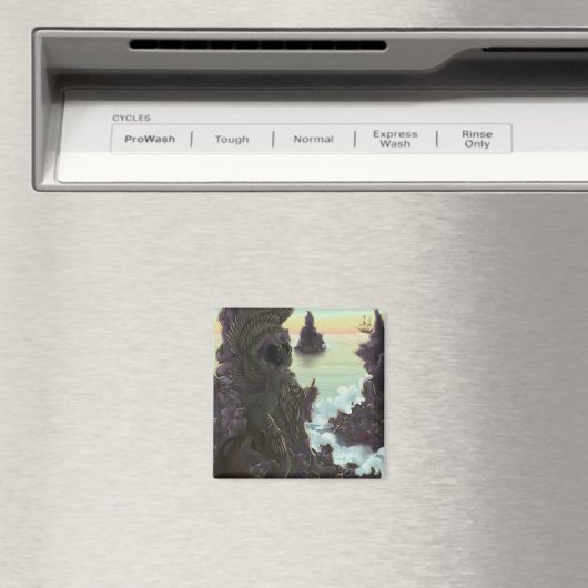 Siren Stones Magneet (Insitu (Vaatwasser))