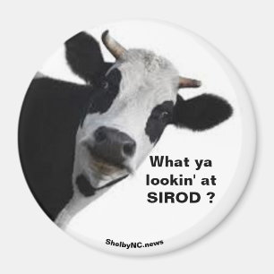 SIROD Waar kijk je naar? Een leuke magneet? Magneet