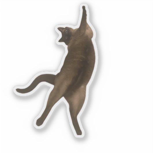 SirPercyPaws - Funny Pose Cat Sticker (Voorkant)