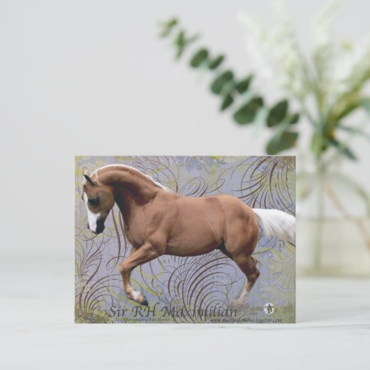 SirRHMaximilian2 Briefkaart (Staand voorkant)