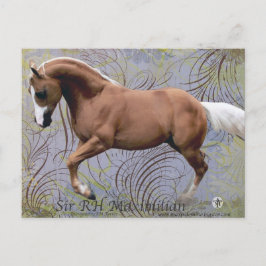 SirRHMaximilian2 Briefkaart