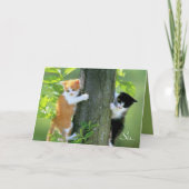 Sis, Bedankt om daar te zijn.. (Voorkant)