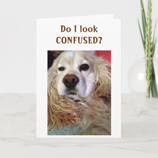 SIS IK BEN ZO IN DE WAR DAT IK ER GEWELDIG UITZIE  KAART (Voorkant)