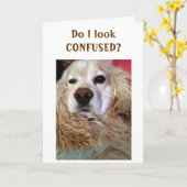 SIS IK BEN ZO IN DE WAR DAT IK ER GEWELDIG UITZIE  KAART (Gele Bloem)