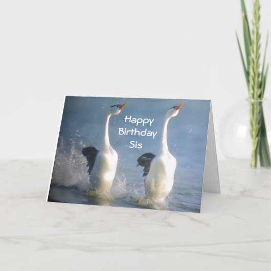 "SIS-VIEREN GENIET, KICK UP YOUR HEALS" VERJAARDAG KAART (Voorkant)