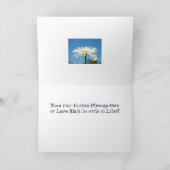 Sis Zuster bracht me veel de Kaarten van de (Binnen)