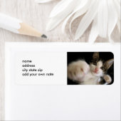 SISSABLE KISSABLE KAT LABEL (Insitu)