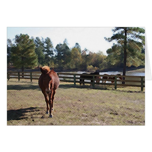 Sissy Mule-kaart (Voorkant Horizontaal)