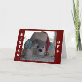 SISTE-DEZE POP ZEGT DAT SPECIALE CHRISTMAS WIST FEESTDAGEN KAART (Voorkant)