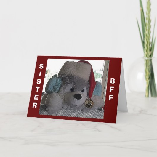 SISTE-DEZE POP ZEGT DAT SPECIALE CHRISTMAS WIST FEESTDAGEN KAART (Voorkant)