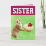 SISTER CAT BIRTHDAY CAKE BIG WENSKAART KAART<br><div class="desc">SISTER CUTE CAT MET BIRTHDAY CAKE CARD. INSIDE READS: HOOP UW BIRTHDAY MEERWAARDIG IS</div>