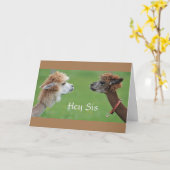 SISTER HUMOR VOOR MIJN FAV *SISTER'S* BIRTHDAY! KAART (Gele Bloem)