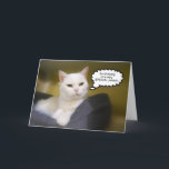 Sister White Cat Verjaardag Humor Kaart<br><div class="desc">Deze kat vertelt het zoals het is!</div>