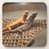 Sisterly Love Bier Onderzetter (Voorkant)