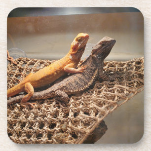 Sisterly Love Bier Onderzetter