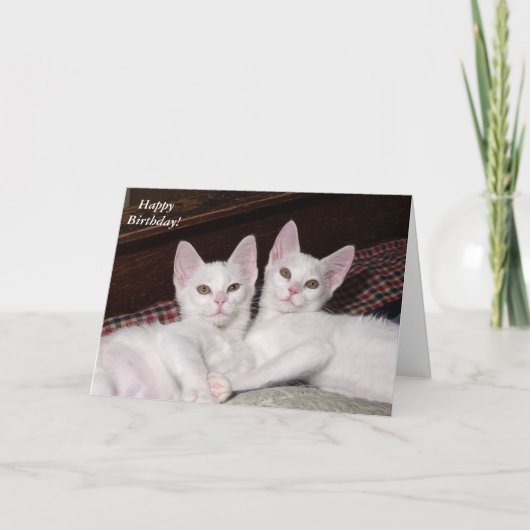 Sisterly Love Twins Cat Birthday Card Kaart (Voorkant)