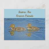 Sisters for ever Friends Ducklings Mosaic Sibling Briefkaart (Voorkant)