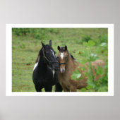Sisters liefde poster (Voorkant)