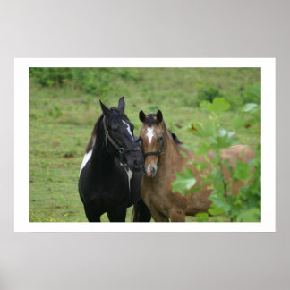 Sisters liefde poster