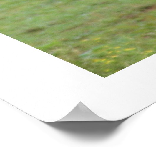 Sisters liefde poster (Hoek)