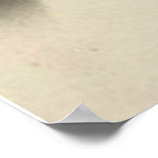 Sisters of St. Therese of Lisieux Little Flower Poster (Hoek)