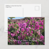 Sisters Rock State Park, Oregon Coast Briefkaart (Voorkant / Achterkant)
