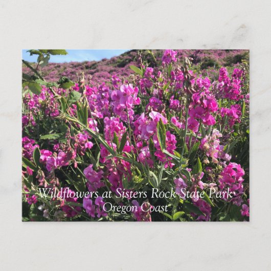 Sisters Rock State Park, Oregon Coast Briefkaart (Voorkant)