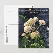 Sisters Rock State Park, Oregon Coast Briefkaart (Voorkant / Achterkant)