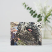 Sisters Rock State Park, Oregon Coast Briefkaart (Staand voorkant)
