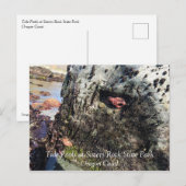 Sisters Rock State Park, Oregon Coast Briefkaart (Voorkant / Achterkant)