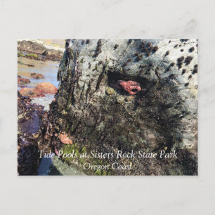 Sisters Rock State Park, Oregon Coast Briefkaart
