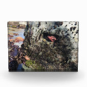 Sisters Rock State Park, Oregon Coast Fotoblokken (Voorkant)