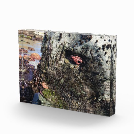 Sisters Rock State Park, Oregon Coast Fotoblokken (Rechts)