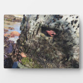 Sisters Rock State Park, Oregon Coast Fotoplaat (voorkant)