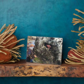 Sisters Rock State Park, Oregon Coast Fotoplaat (Zijkant)