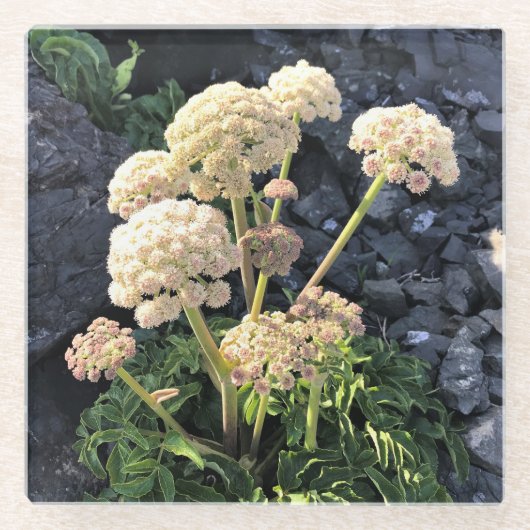 Sisters Rock State Park, Oregon Coast Glazen Onderzetter (Voorkant)