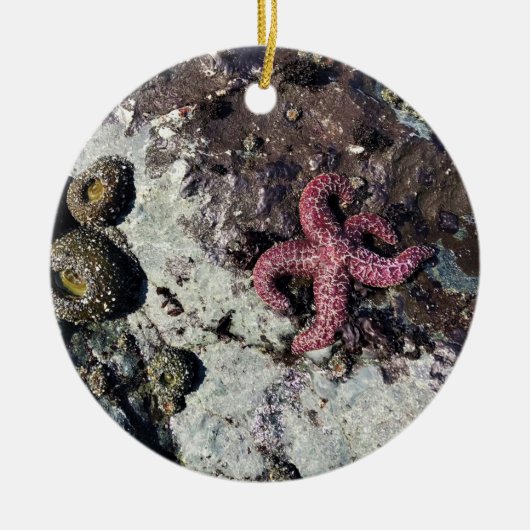 Sisters Rock State Park, Oregon Coast Keramisch Ornament (Voorkant)