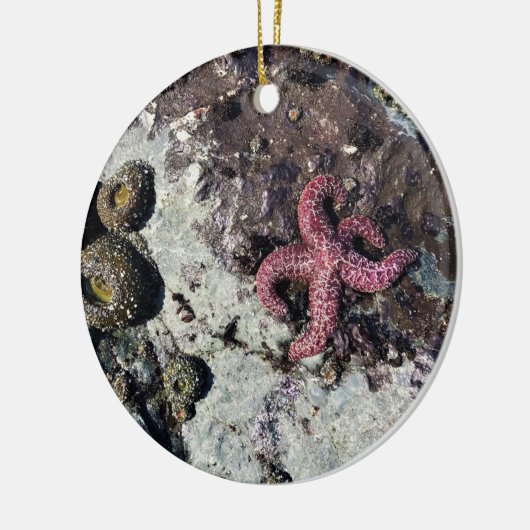 Sisters Rock State Park, Oregon Coast Keramisch Ornament (Links)