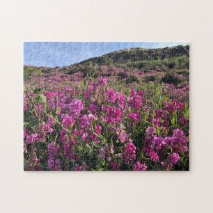 Sisters Rock State Park, Oregon Coast Legpuzzel