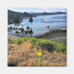 Sisters Rock State Park, Oregon Coast Magneet